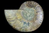 Agatized Ammonite Fossil (Half) - Madagascar #125045-1